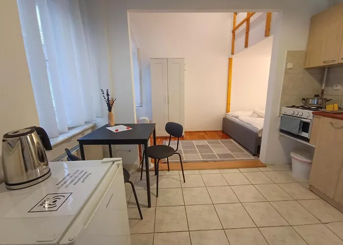 R172 Elitehost Raday Studio Daire Budapeşte