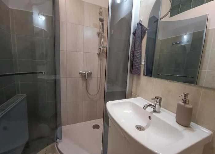 R172 Elitehost Raday Studio